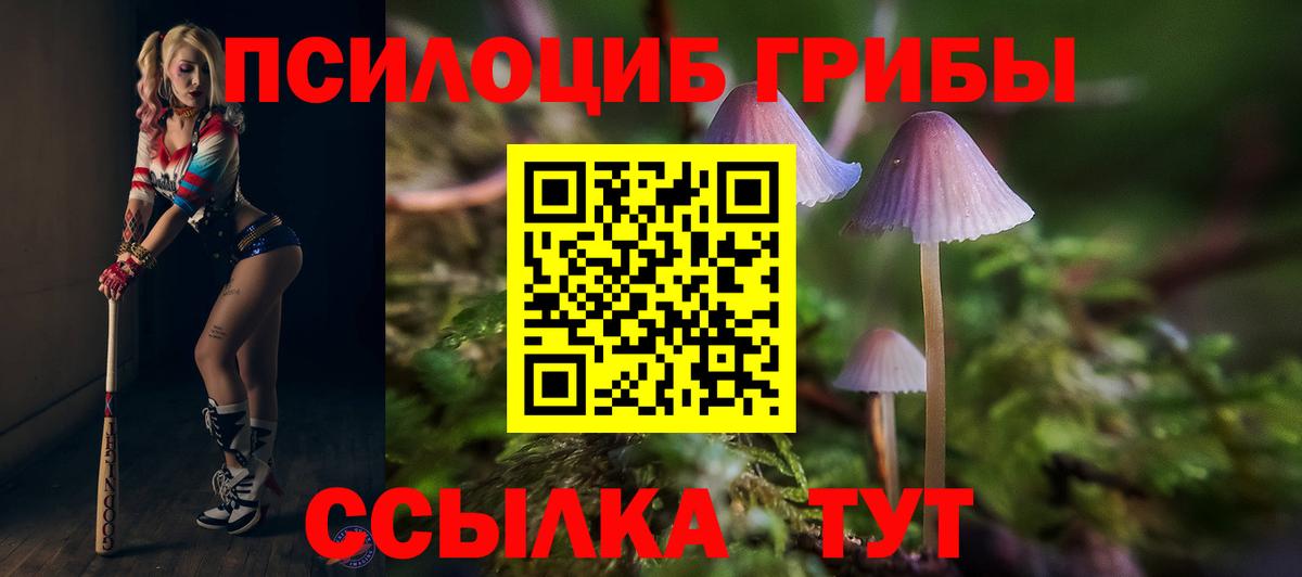 Галлюциногенные грибы Magic Shrooms  Псилоцибиновые грибы Cubensis  Вход с VPN  закладка  Кольчугино 