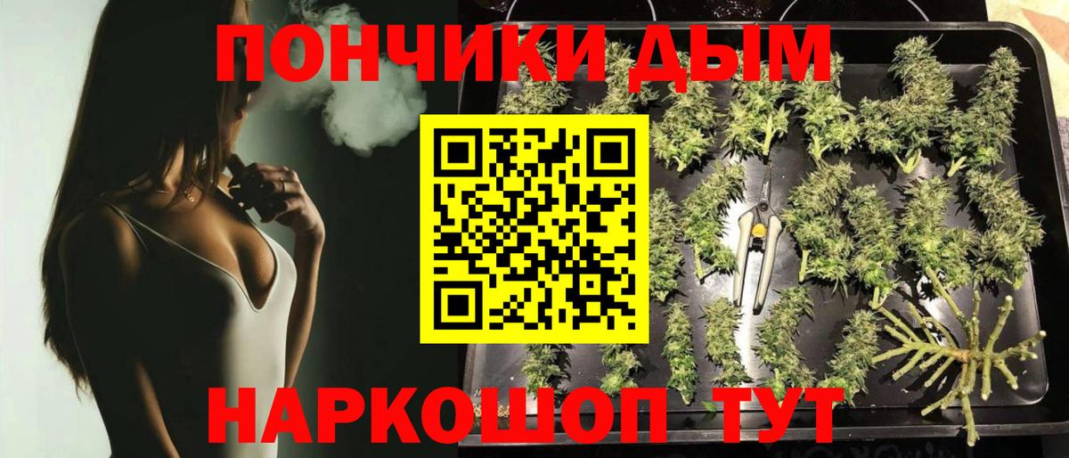 МАРИХУАНА SATIVA & INDICA Кольчугино